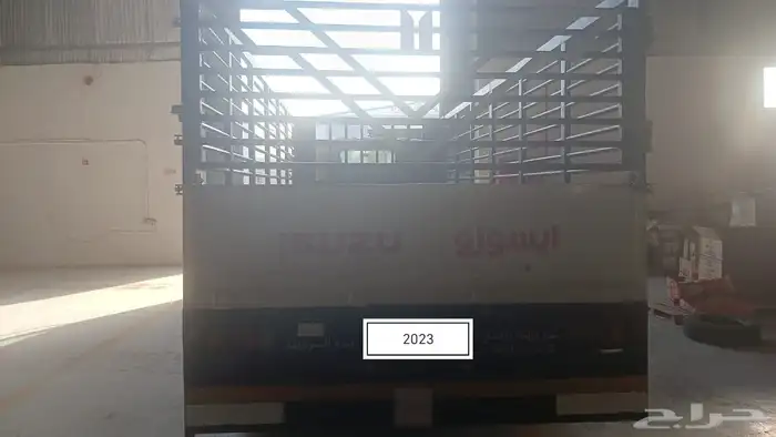 دينا ايسوزو 2023 4