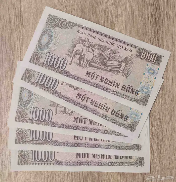 عملات فيتنام 1
