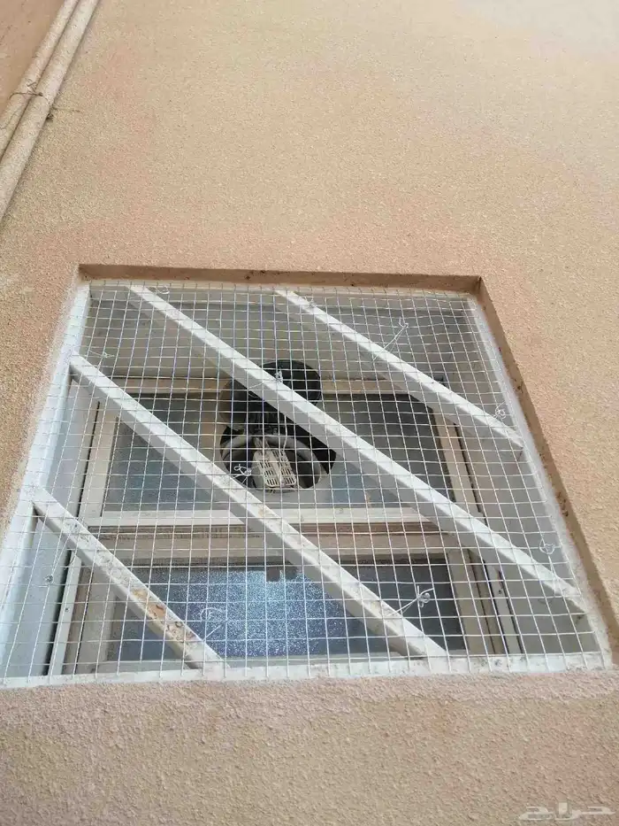 تركيب طارد حمام وتركيب مانع الحمام 0