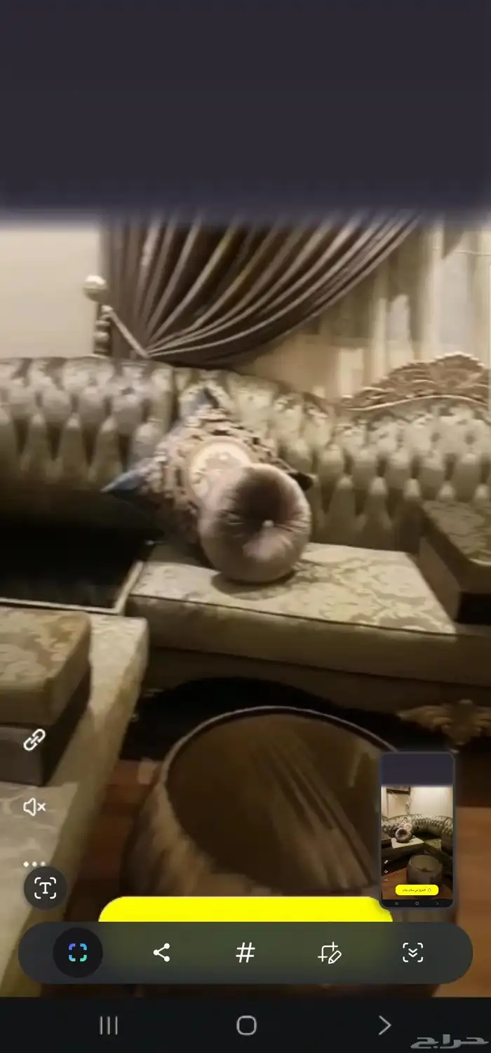 كنب للبيع.. استخدام نظيف جدا 1