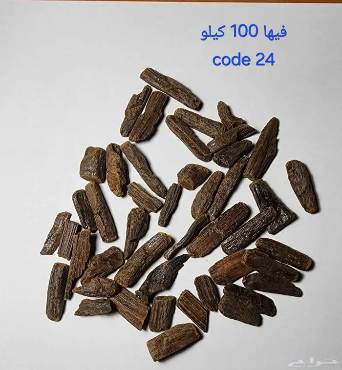 السلام الى يبغى عود بسعر جمله الجمله موجود في جده السعر 135 1