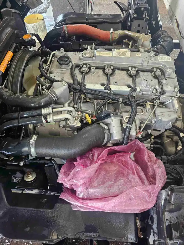 دينه ايسوز 2020 4