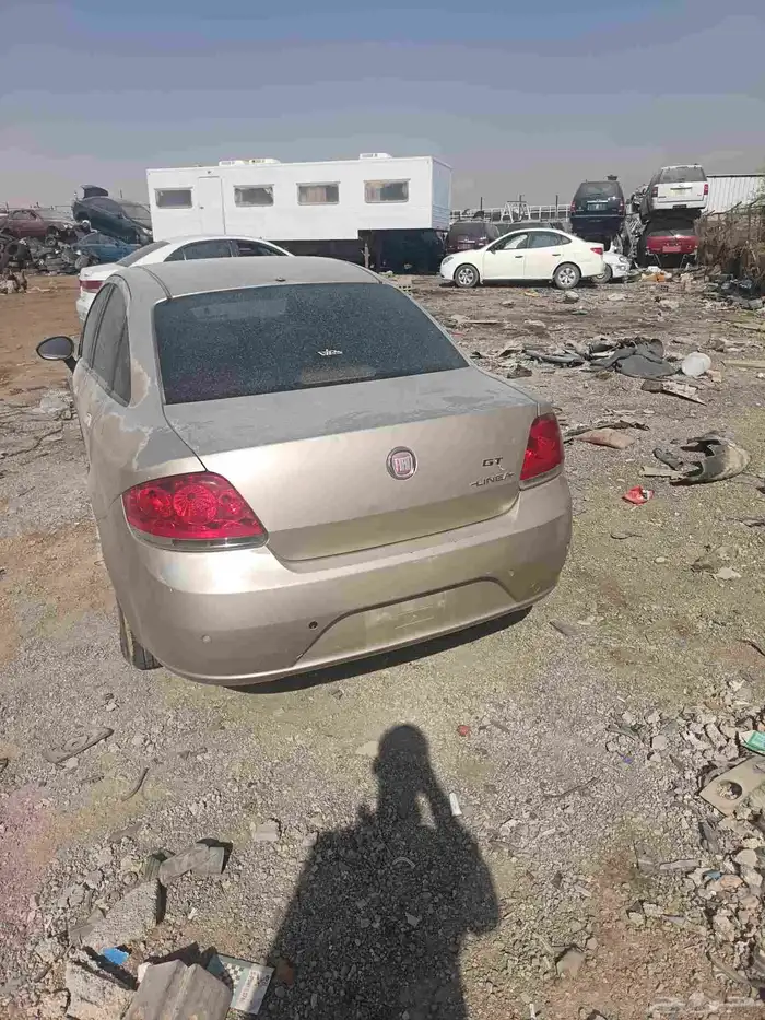 يوجد لدينا فيت 2015 2