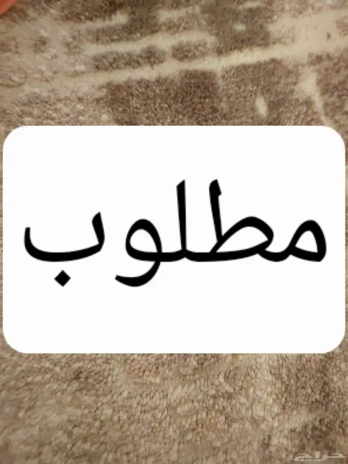 مطلوب شقة لايجار مكونه من 4 غرف نظيفة في طيبة الندى الفرسان 0