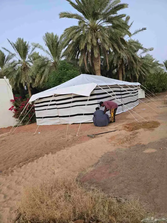 بيت شعر 7ب5 ابيض 3