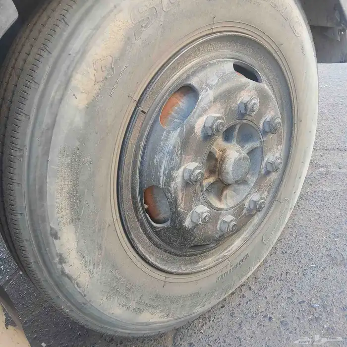 كفر كامل دينا مقاس 20 0