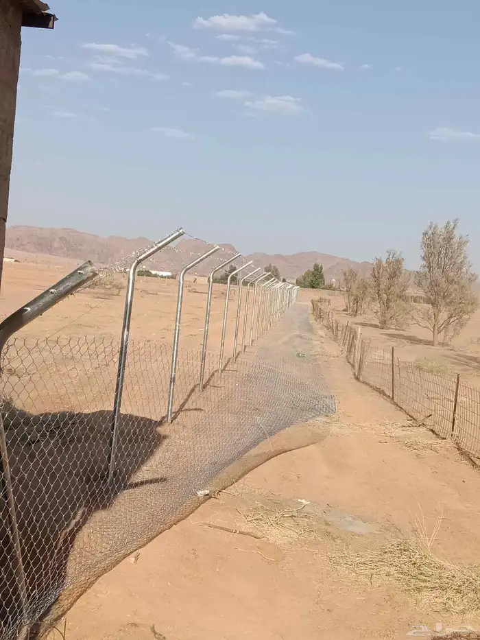 سياج حديد مجلفن 6