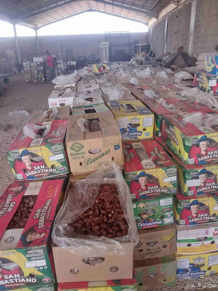 يوجد 12كرتون سلج برحي ومشلات حلوه 2