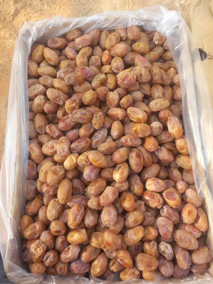 متوفر خضري وخلاص كميات 1