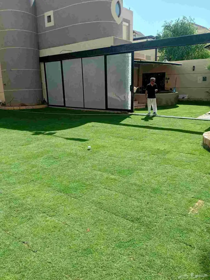 ثيل طبيعي سي الفين (C2000) صافي ونقي على الشرط شكل جمالي وخض 0