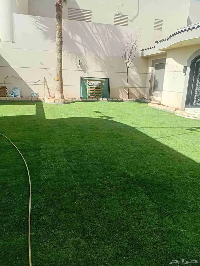 ثيل طبيعي سي الفين (C2000) صافي ونقي على الشرط شكل جمالي وخض 2