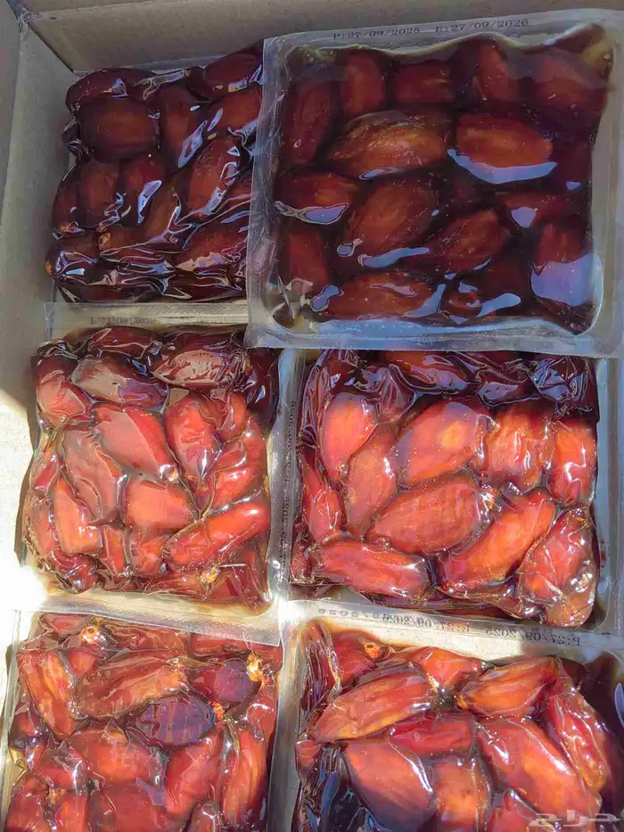 تمر صفري كبار 7