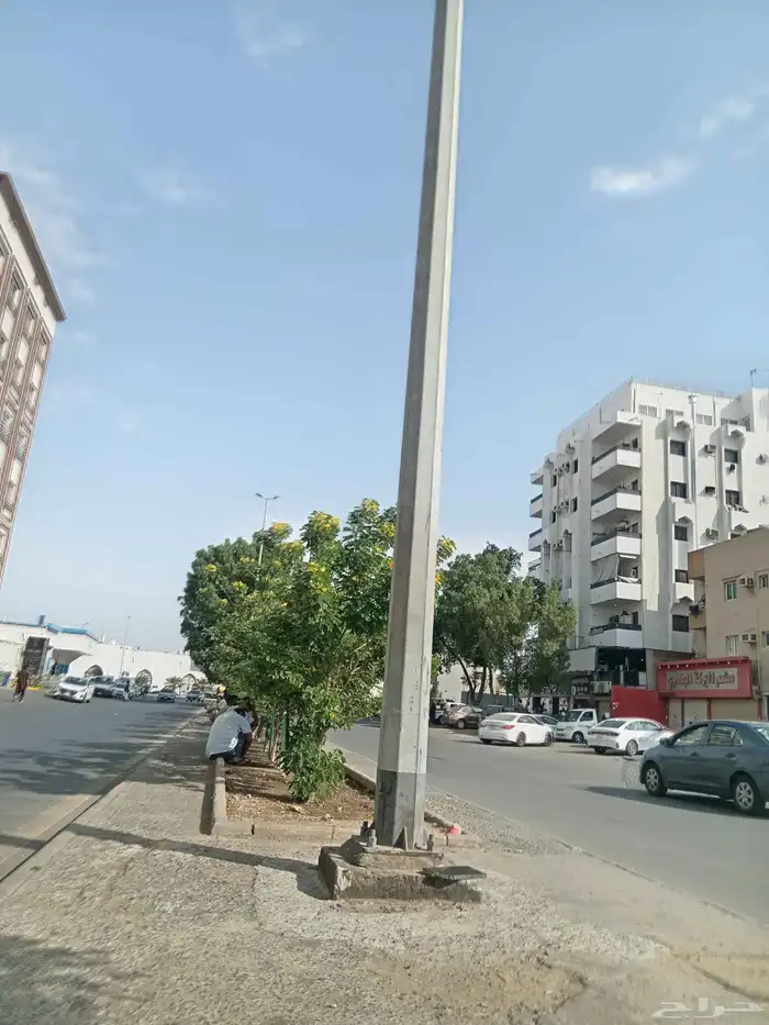 معلم قص شجر ونخل بجده 0