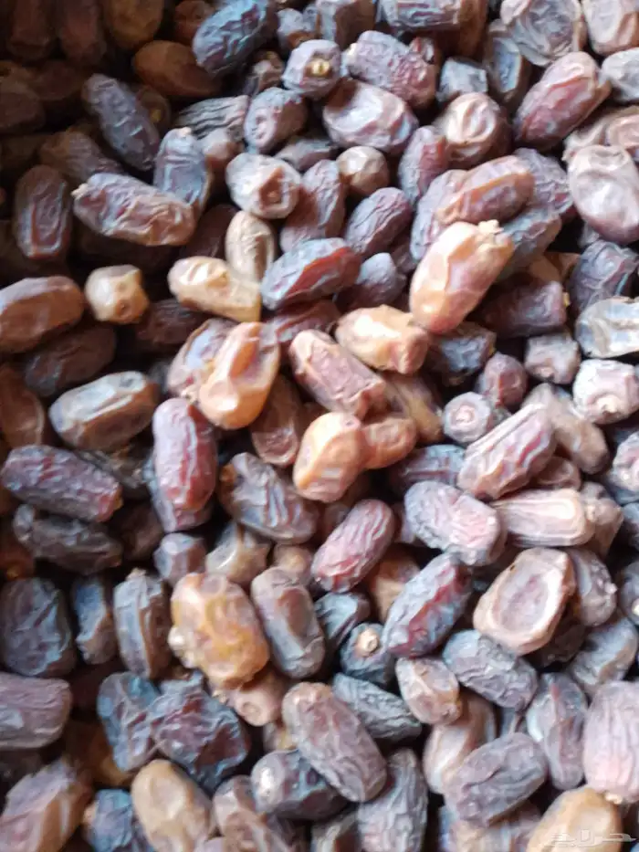 عندنا تمر مشكلت الي للبيع 4