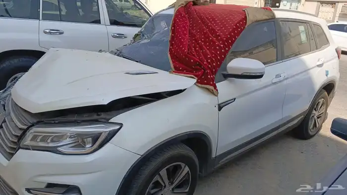 شنجان مصدومه 2