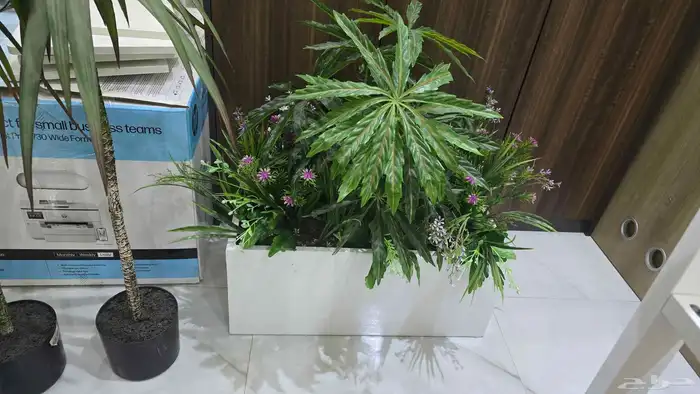 احواض نبات زينة 0