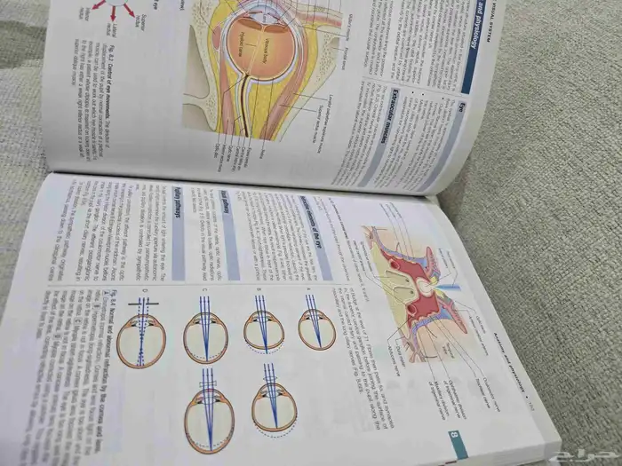 Macleod s Clinical Examination 14th Edition الكتاب جديد 1