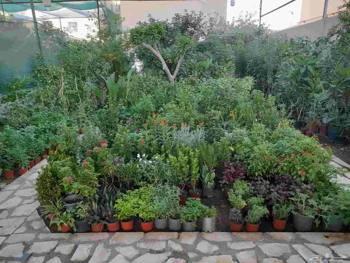 منسق حديق وتركيب جميع شبكات الري العادي 2