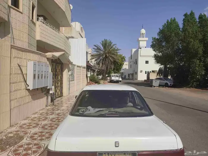 كورسيدا 95 2