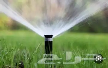 تنسيق الحدايق وزراعة النخيل 2