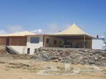 مظلات وسواتر القنفذة 4