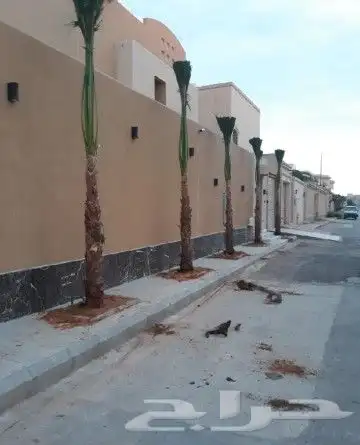 تنسيق الحدايق وزراعة النخيل 4
