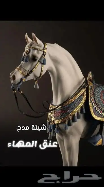شيلة ام العريس تنسيق شيلات وزفات بالاسماء حسب الطلب 1
