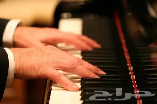 مدرب موسيقى تعليم العزف على البيانو 0