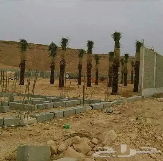 يوجد لدينا جميع انواع انخيل واشنطن وعربي تحت اشراف ابو علي 0