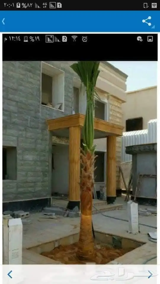 يوجد لدينا جميع انواع انخيل واشنطن وعربي تحت اشراف ابو علي 3