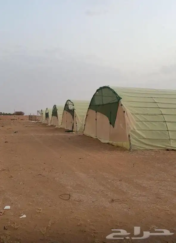 بيوت محميه للبيع مع البلاستيك 30 بيت 0
