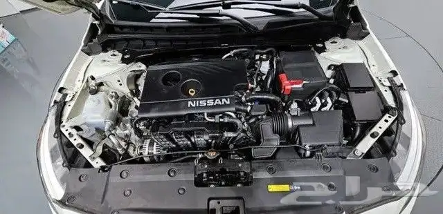 التيما 6