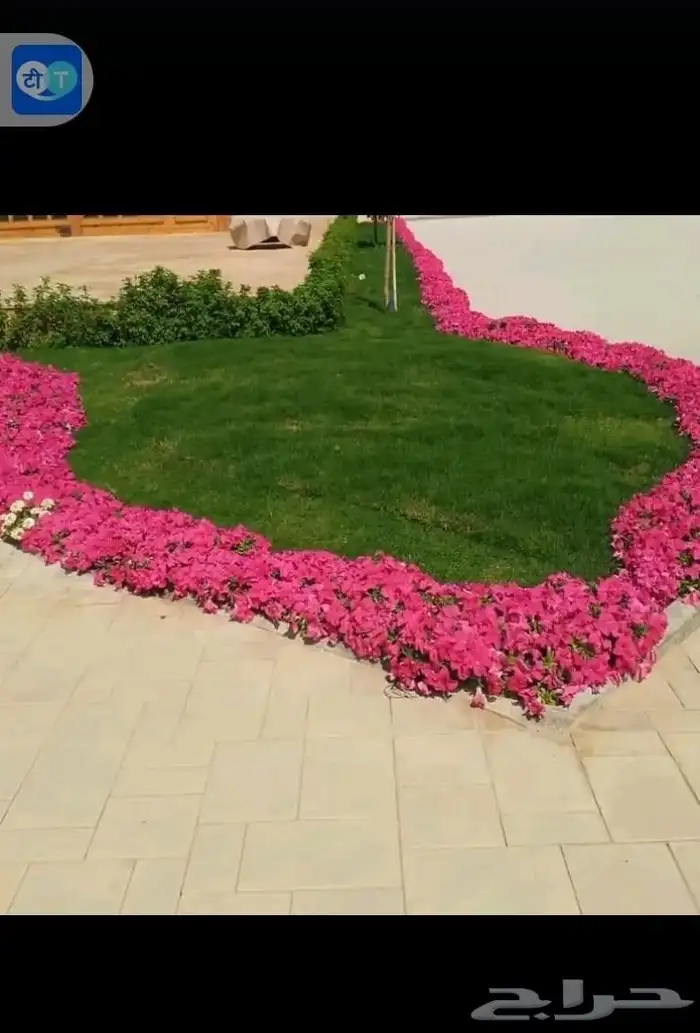 تصميم وتنسيق الحدائق باسلوب مميز واسعار معقولة 5