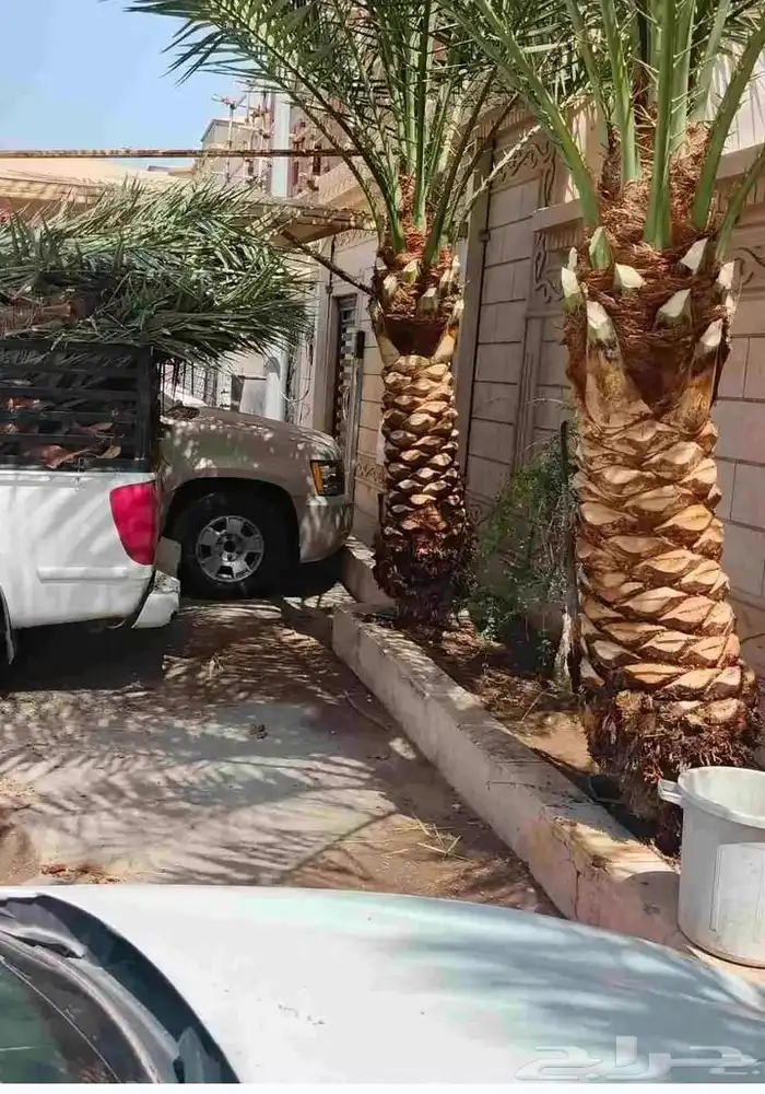 تنسيق حدائق 1