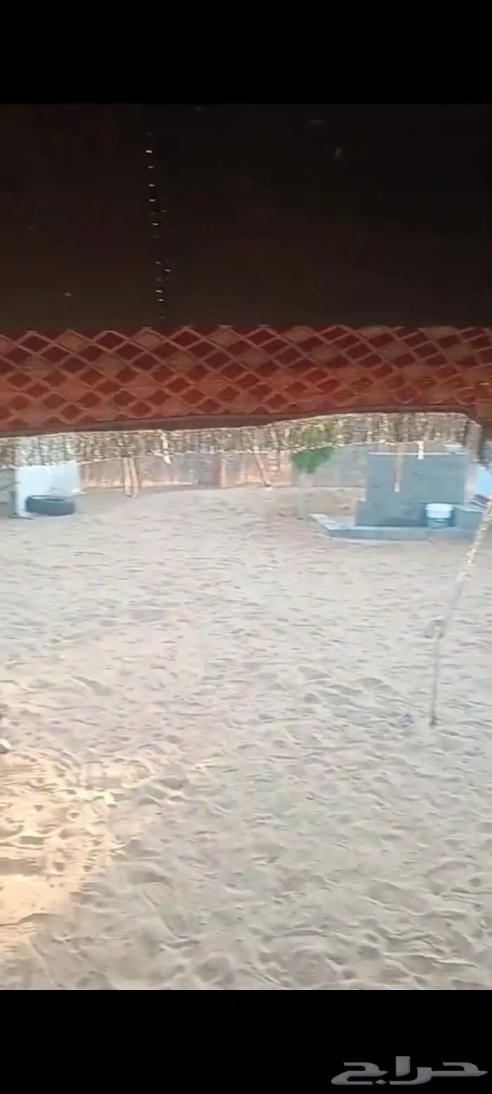 بيت شعر شبه الجديد 4