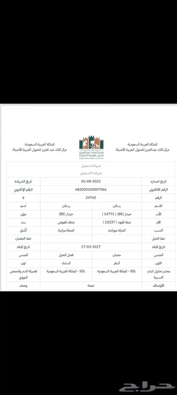 فحل واهو ولد خيدار 1
