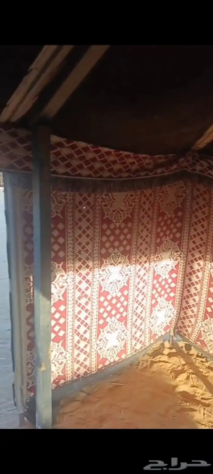 بيت شعر شبه الجديد 7