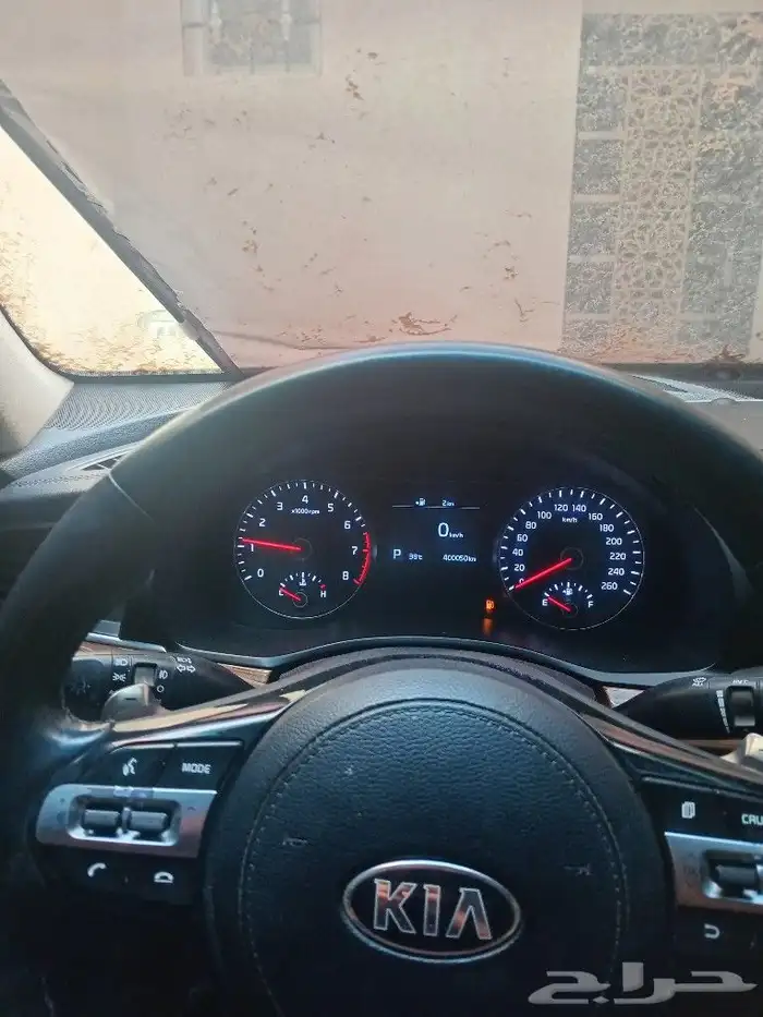 كادينزا 2019 2