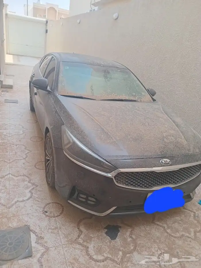 كادينزا 2019 4