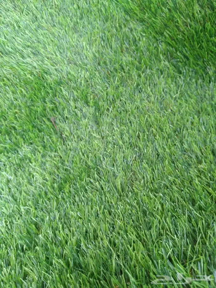 ثيل صناعي عشب 1