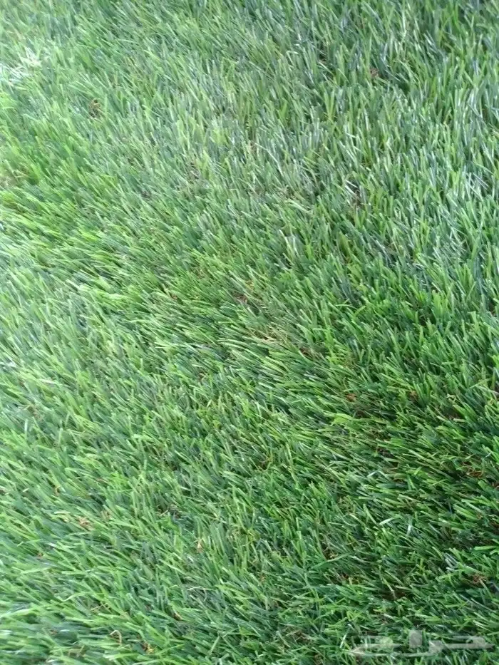 ثيل صناعي عشب 3