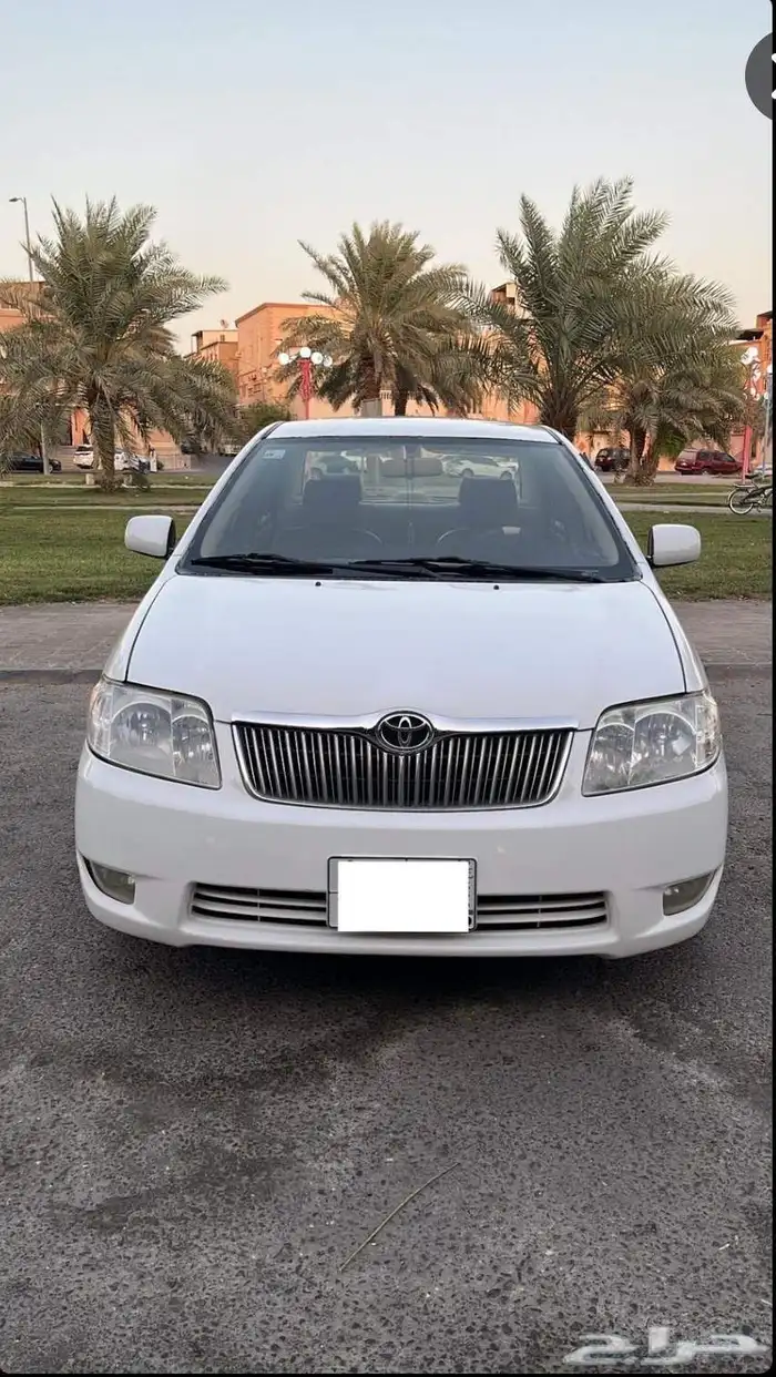 كورلا2005 7