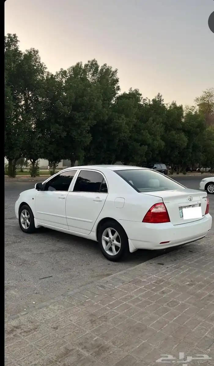 كورلا2005 1