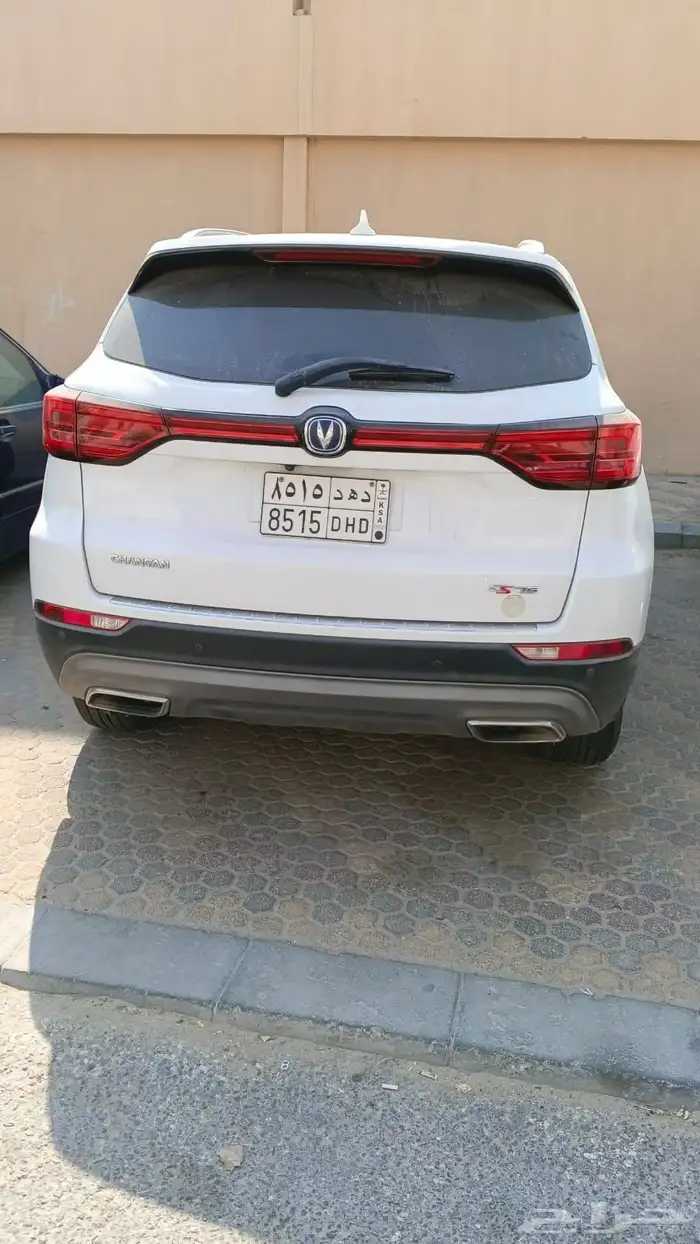 شنجان مصدومه 4