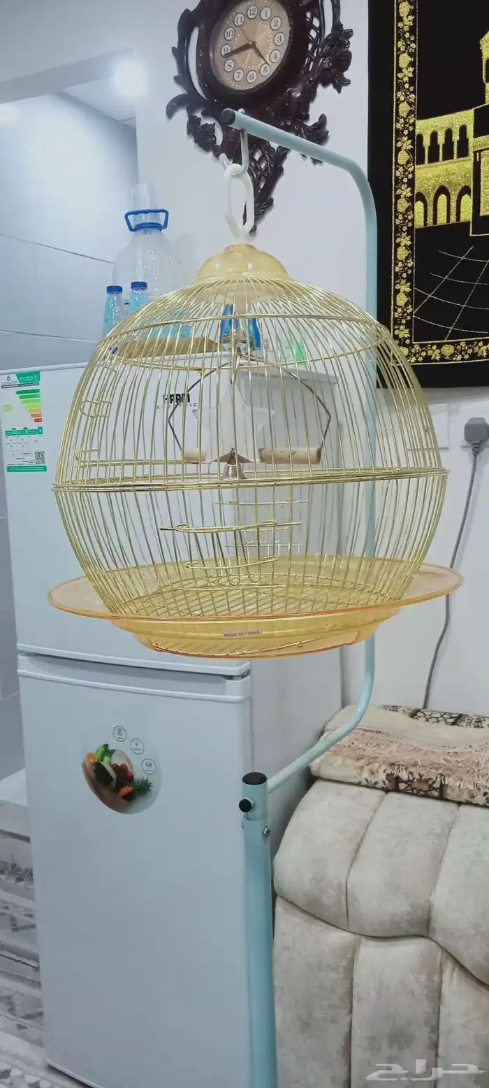 قفص ذهبي مستعمل مع حامل للبيع فقط 60 ريال 4