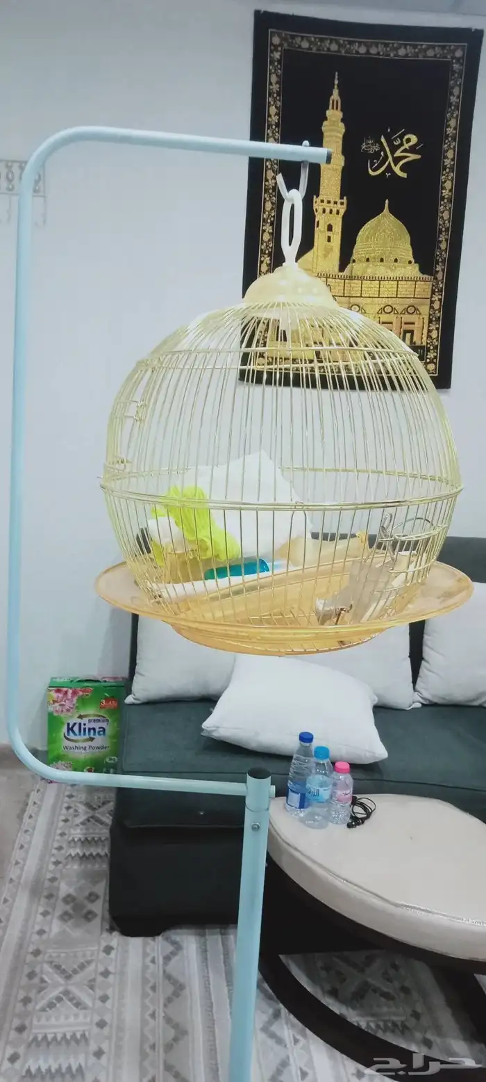 قفص ذهبي مستعمل مع حامل للبيع فقط 60 ريال 1