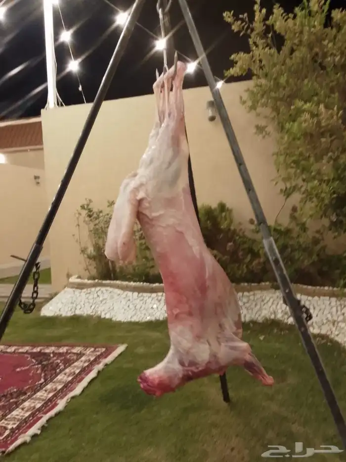 معلم مشويات 3