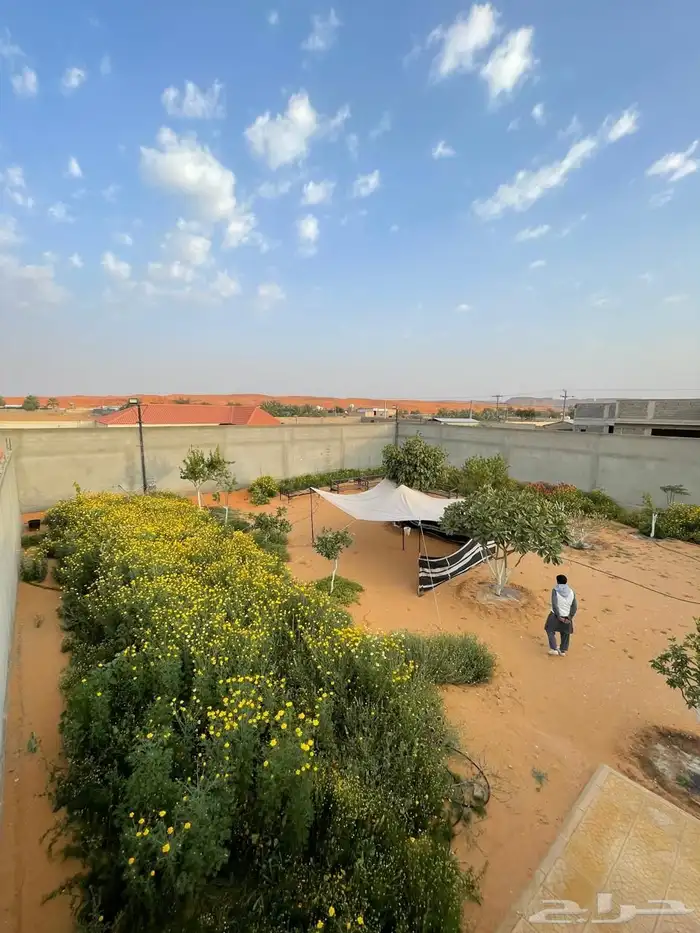 للبيع مزرعة في المزاحمية الحنية 0