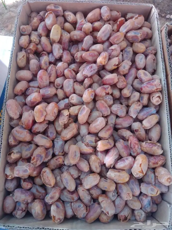 تمر اخلاص منظف وجاهز من القشره 1