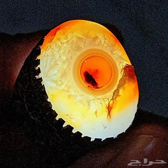 تم البيع - سليماني هندي مميز عين ورمش 4